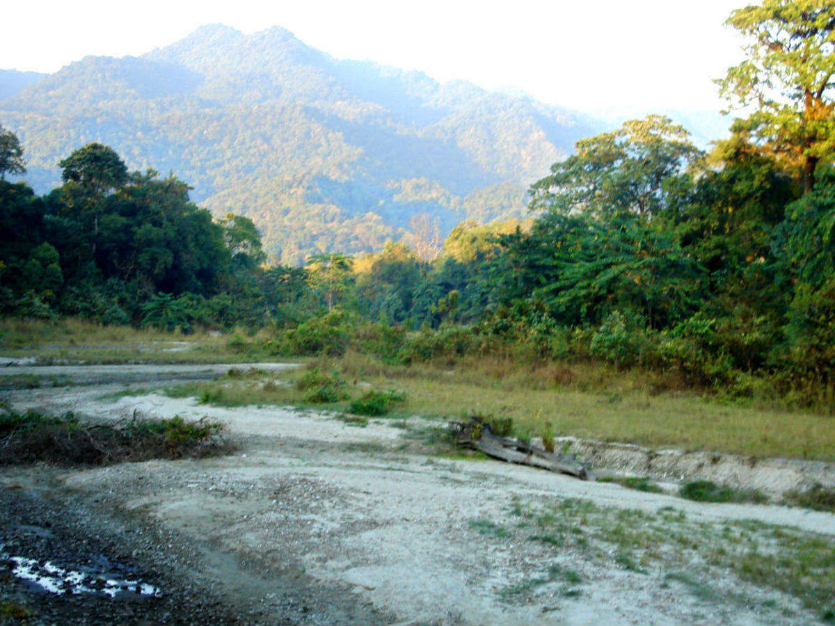 Jungle Safari In Unesco World Heritage Sites Assam Get The Detail Of