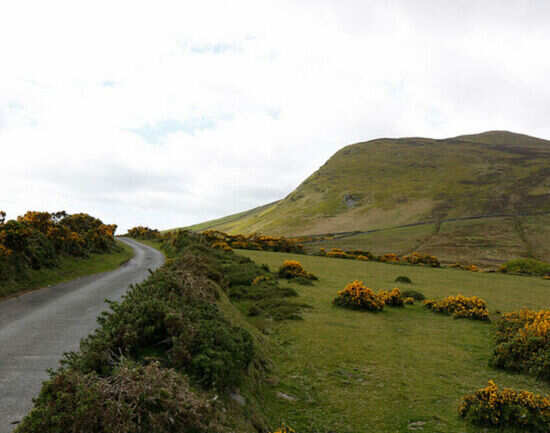 Enjoy guided walking tour