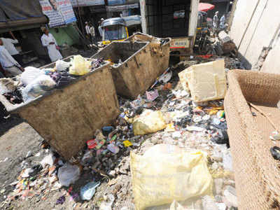Punjab, TN show the way in waste disposal