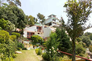 Blue Pine Resort