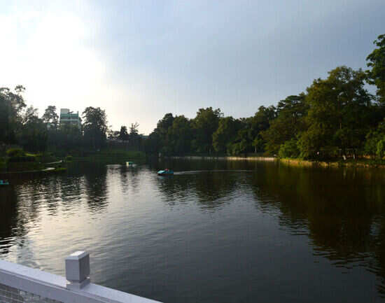 Take a stroll around Wards Lake