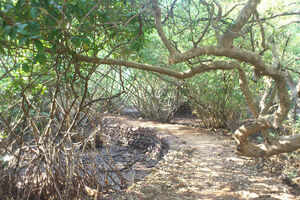 Salim Ali Bird Sanctuary