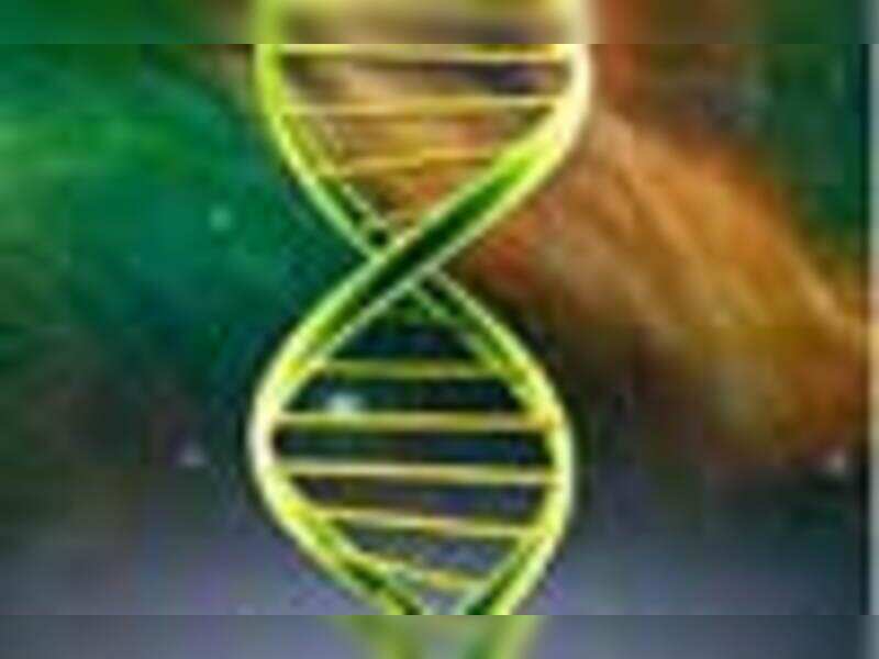 Hinduism The golden womb and the cosmic egg Times of India