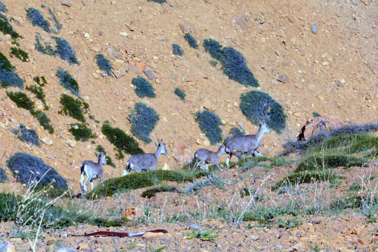 Pin Valley National Park