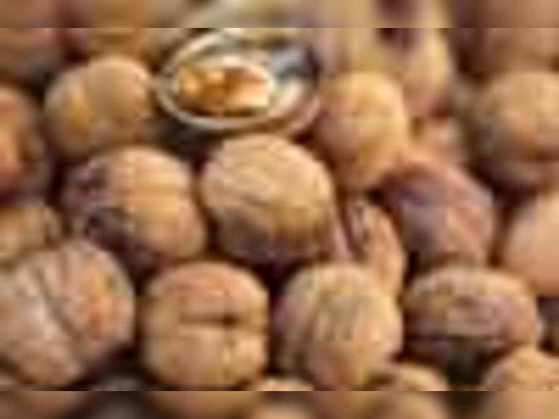 Nuts Eat Nuts To Overcome Hunger Pangs Times Of India