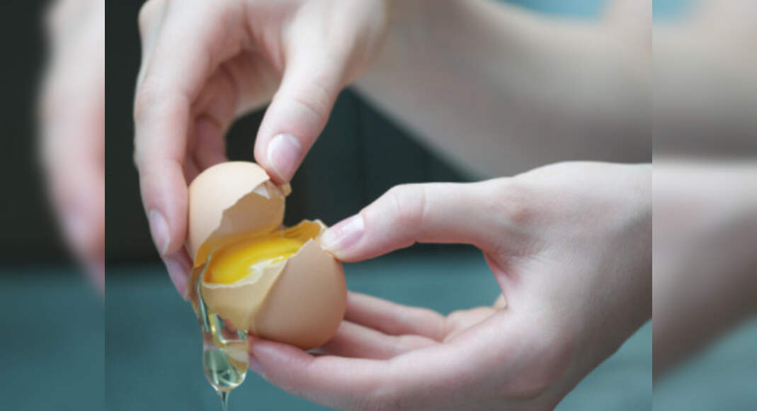 How to tell if your eggs are fresh or have expired Food & Recipes