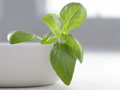 Basil: The subtle herb, full of antioxidants