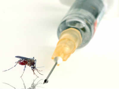 Drug target for dengue virus found