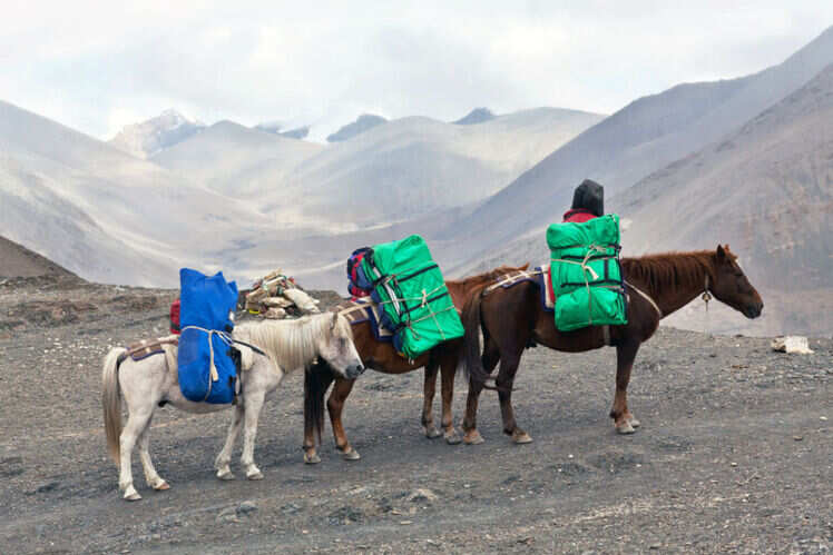 Overall costs of the Yatra