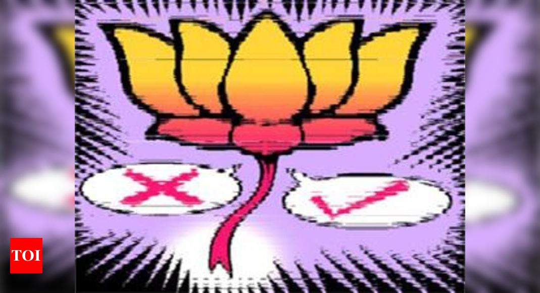 BJP's Dilemma: Sedition In Delhi, Power In J&K | India News - Times Of ...