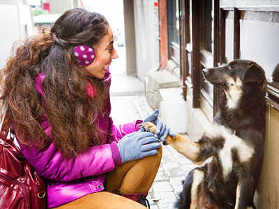 Adopting strays are source of love and affection - Times of India