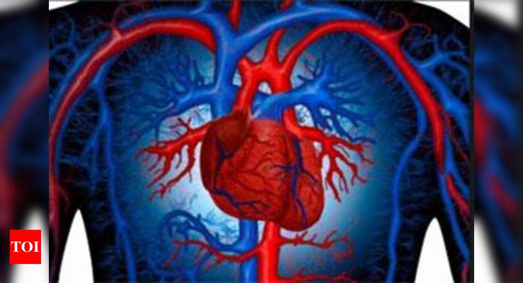 Our organs too may have sexual identities - Times of India