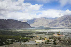 Face to face with the rare Bactrian camels and incredible sand dunes in Nubra Valley