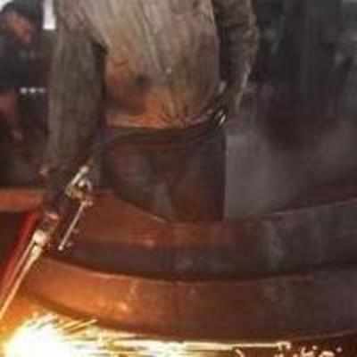 Economy Survey against more tariff protection for steel producers