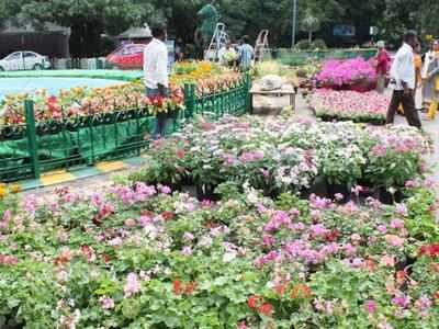 Odisha govt OKs horticulture complex in Sambalpur