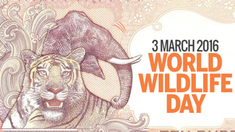 WORLD WILDLIFE DAY The Times of India