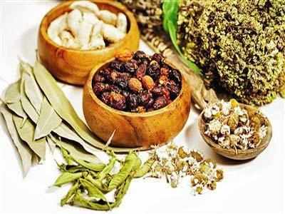 Kerala govt unveils policy to promote AYUSH systems