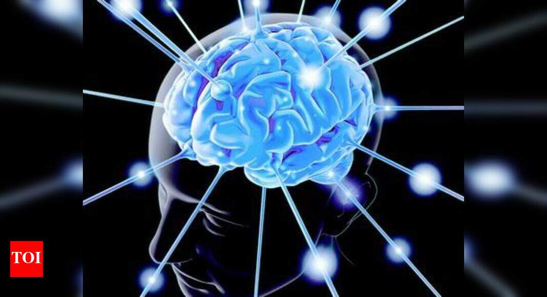 Using computer reduces memory decline risk - Times of India