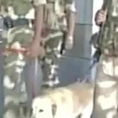 Terror alert in Gujarat, security stepped up