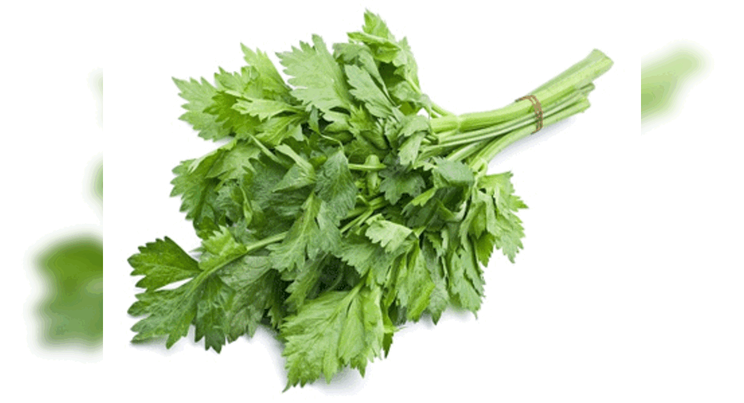 Did you know that celery has negative calories Food & Recipes