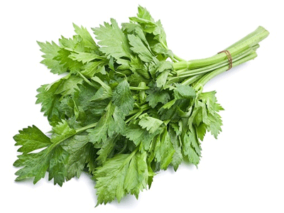 Did you know that celery has negative calories