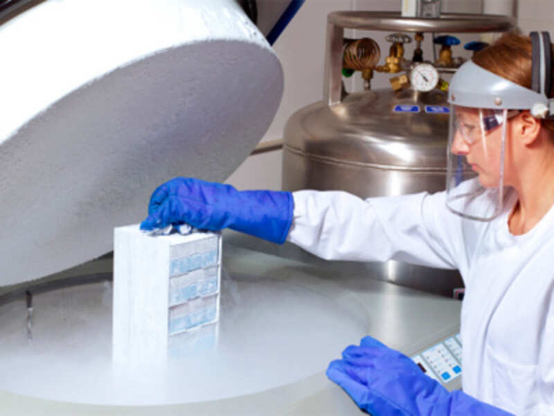 Social Egg Freezing On The Rise In Mumbai Times Of India social egg freezing on the rise in