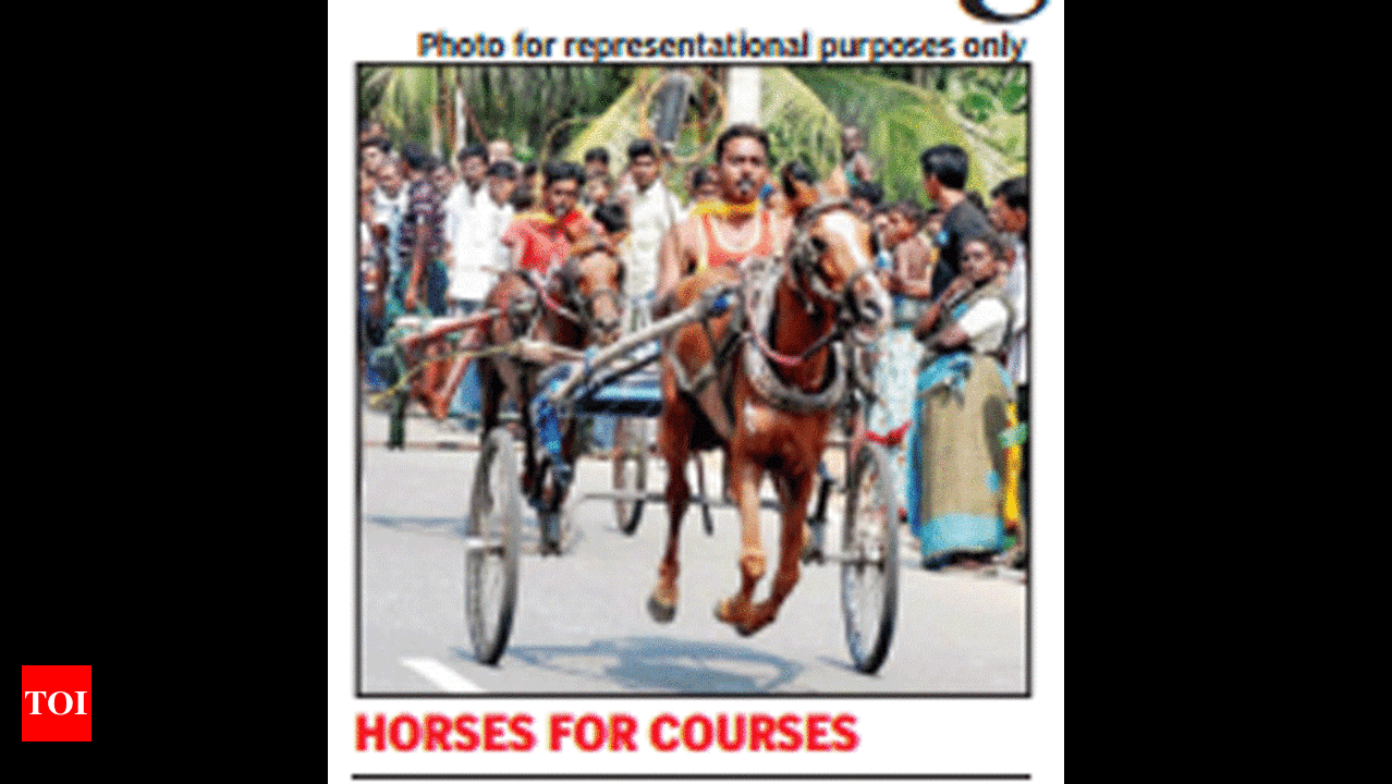 Horse race on highway, crores change hands | Lucknow News - Times of India