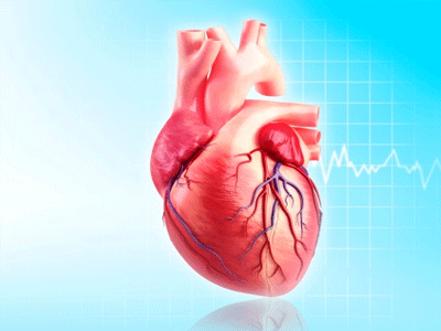 Only 24 heart transplants conducted in city hospitals since 2004
