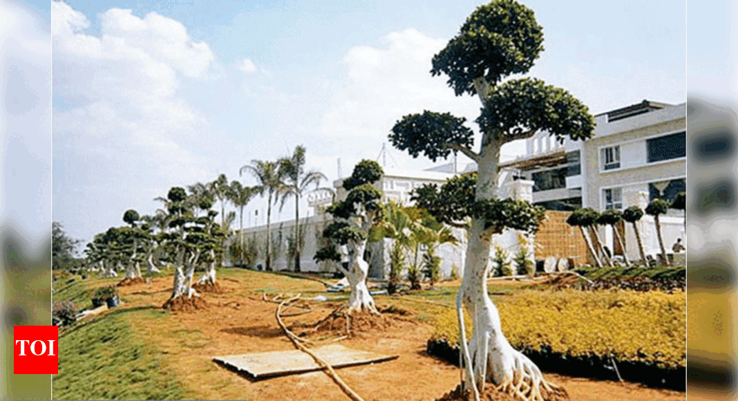 Trees are the new brand ambassadors | Hyderabad News - Times of India