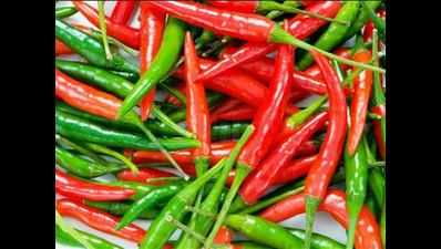 Two-year-old girl dies after biting a chilli