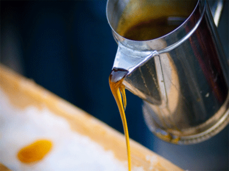 Maple syrup extract can fight against Alzheimer’s ?