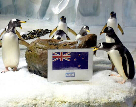 National Sea Life Museum