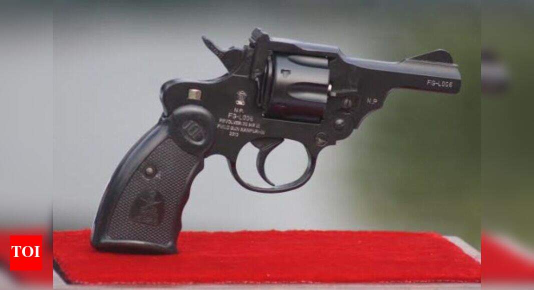 Nirbheek likely to come in multiple colours | Lucknow News - Times of India