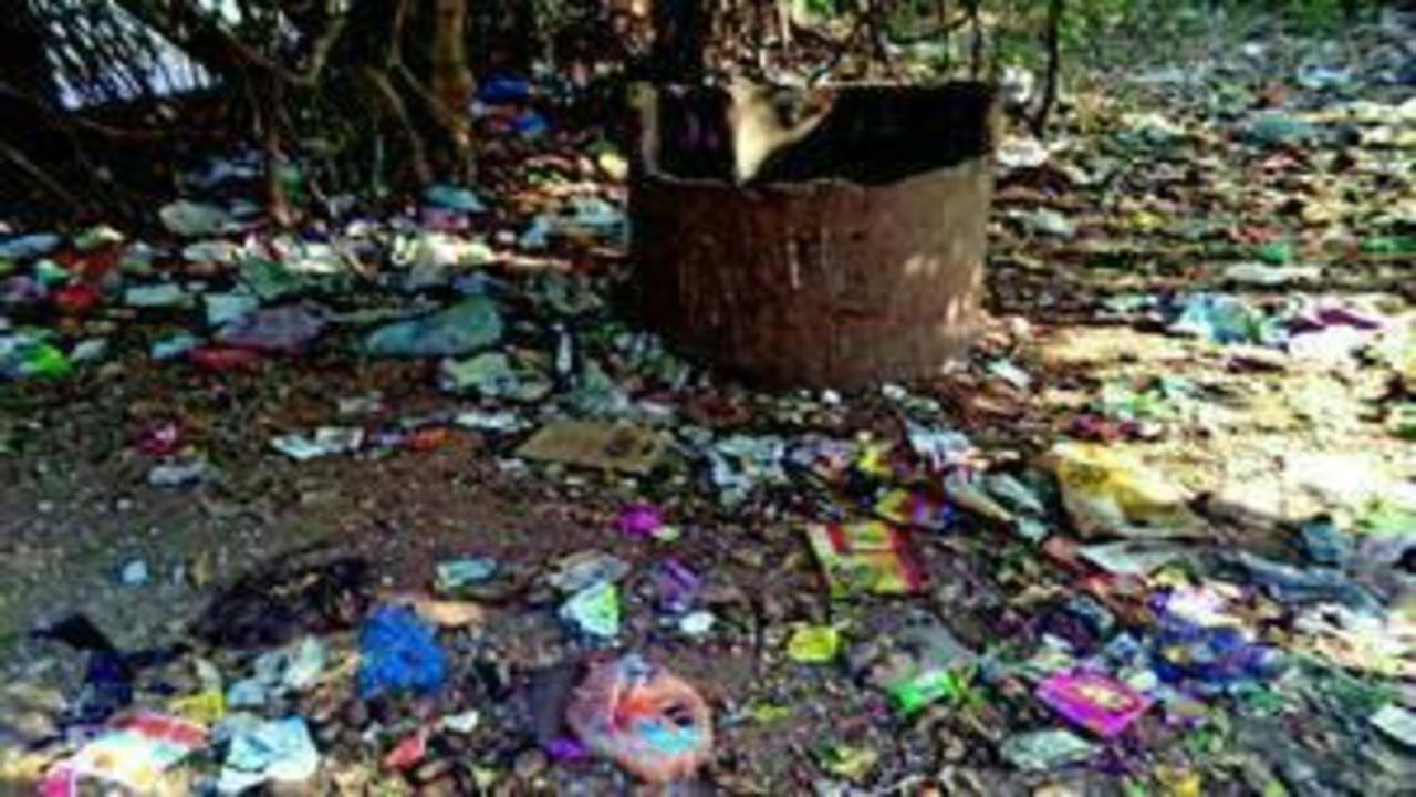 By potters, for potters: Your chance to move away from plastic - Times of  India