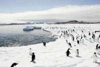 17 Indian explorers spellbound by Antarctica