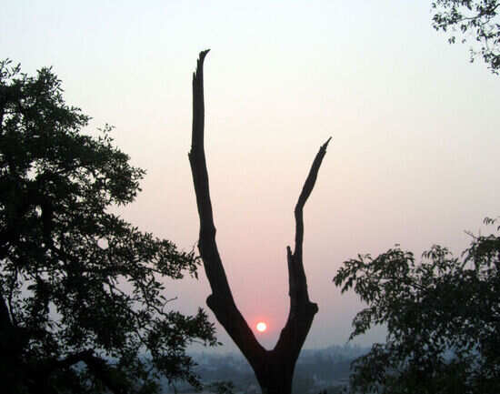 Trace the Beatles trail in Rishikesh