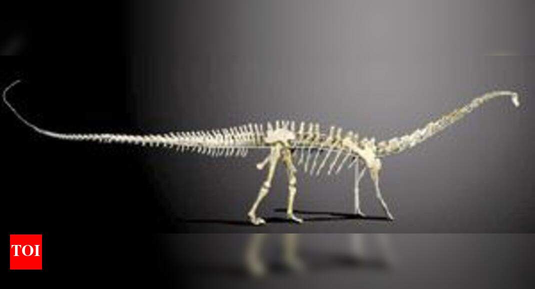 3D models show how giant dinosaurs evolved - Times of India