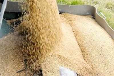 Gangrape case settled for 1,200kg of wheat in Pakistan