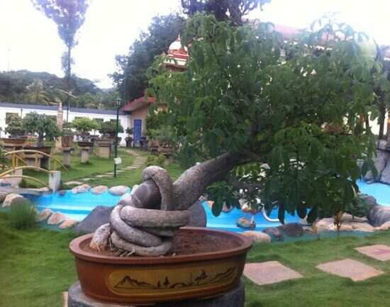 Kishkindha Moolika Bonsai Garden