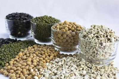 Project launched to enhance millet production