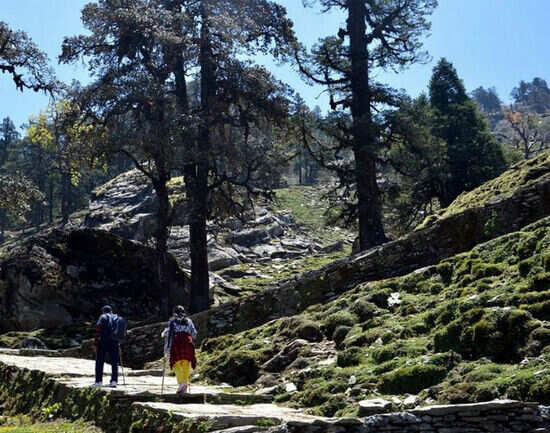 Chopta-Chandrashila trek