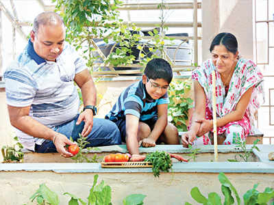 Kolhapur opts for healthy, self grown, organic foods