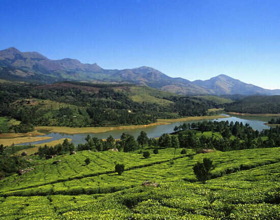 Wonderful places to visit near Munnar