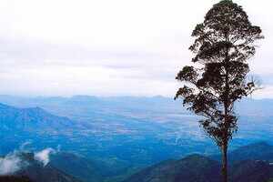 Kodaikanal