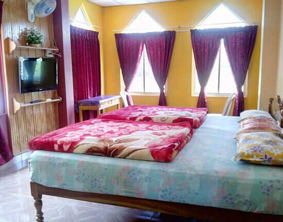 Munnar&rsquo;s most quirky budget stays