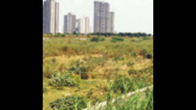 Noida asks LIC to stop e-auction of housing land mortgaged by Unitech