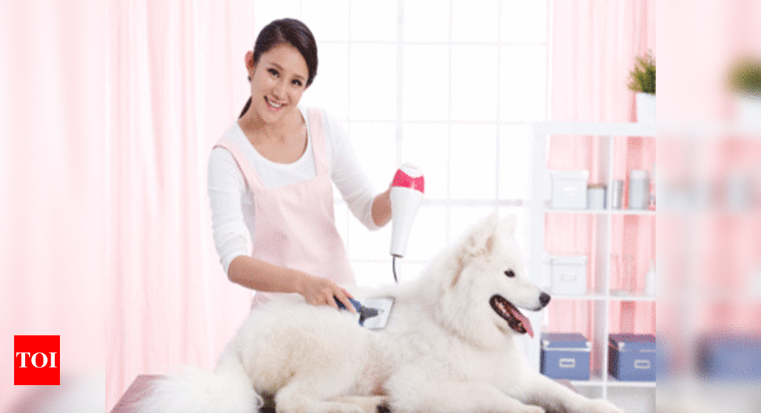 dog grooming parlours near me