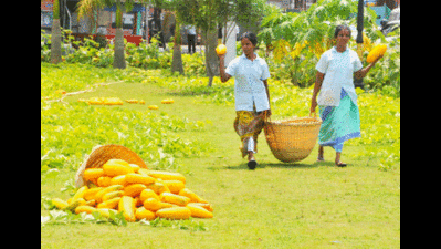 After Vishu fest, vegetable prices likely to head north