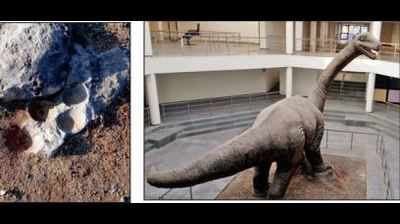In Gujarat's 'Jurassic Park', administration is fossilized
