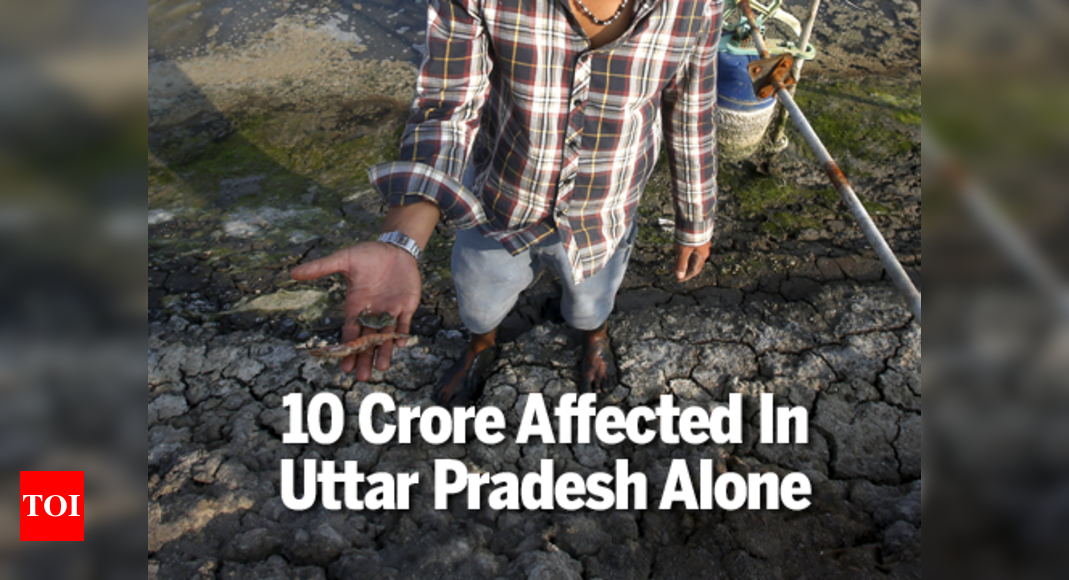 the-worst-drought-affected-states-india-news-times-of-india